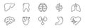 Human Internal Organ Anatomy Line Icon Set. Liver, Tooth, Brain, Stomach, Heart, Lung, Urinary System, Intestine Linear