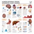 Human Internal Organ Health And Medical Infographic Chart Diagram Royalty Free Stock Photo