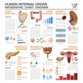 Human Internal Organ Health And Medical Infographic Chart Diagram