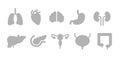 Human internal organ icon set, organs of human isolated on white background Royalty Free Stock Photo