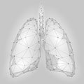 Human Internal Organ Lungs. Low Poly technology design. White Gray color polygonal triangle connected dots. Health medicine icon b Royalty Free Stock Photo