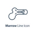 Human internal organ, marrow diagram, vector line icon