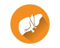 Human liver icon vector.Human internal organ