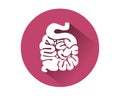 Small intestine icon vector.Human internal organ Royalty Free Stock Photo