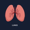 Human Internal organs, cartoon anatomy body part lungs, vector illustration