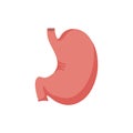 Human Internal organs, cartoon anatomy body part stomach, vector illustration