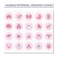 Human internal organs color icons set Royalty Free Stock Photo