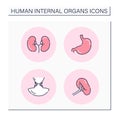 Human internal organs color icons set Royalty Free Stock Photo
