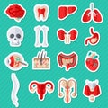 Human Internal Organs Flat Icons Stickers