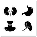 Human internal organs glyph icons set