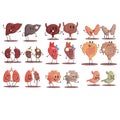 Human Internal Organs Healthy Vs Unhealthy Set Of Medical Anatomic Funny Cartoon Character Pairs Of Organism Parts In