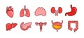 Human internal organs icon set, flat design style illustration with outline Royalty Free Stock Photo