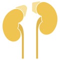 Human internal organs: kidneys, adrenal glands and ureters. Vector image. Flat design Royalty Free Stock Photo