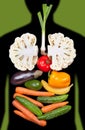Human internal organs lined with vegetables