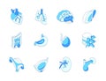 Human internal organs - modern isometric icons set Royalty Free Stock Photo