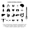 Black silhouettes human internal organs (heart, brain and etc.). Icon set.