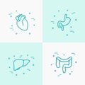 Human internal organs thin line icons set