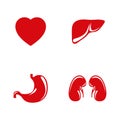 Human internal organs vector icons set. Royalty Free Stock Photo