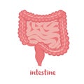 Human intestine, internal organ icon. Anatomy, medicine concept, Healthcare. Vector illustration in flat style isolated on white