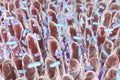 Human intestine with intestinal bacteria Royalty Free Stock Photo