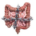 Human intestines with chain. Abdominal pain concept, 3D rendering
