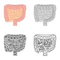 Human intestines color flat, line, simple and monochrome icon set