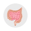 Intestines Flat Icon