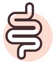 Human intestines, icon Royalty Free Stock Photo