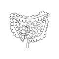 Human intestines one line art. Continuous line drawing of human, internal, organs, intestines, small intestine, large Royalty Free Stock Photo