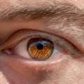 Human Iris Detail Royalty Free Stock Photo