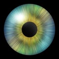 Human iris. Iris of the eye. Eye illustration. Creative graphic design Royalty Free Stock Photo