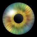 Human iris. Iris of the eye. Illustration of an eye. Creative graphic design Royalty Free Stock Photo