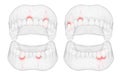 human jaw. 3d vector layout. medicine and health. pain teeth