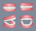 Human jaw. Realistic set of human teeth anatomy closed and open mouth decent vector templates set