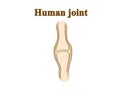 Human joint. Graphic illustration. Hand drawing, contour of symbol. Medicine and science, human anatomy simple