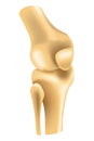 Human joints vector icons for orthopedics and surgery medical design. Vector isolated icon of leg knee or arm and hand