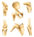 Human joints vector icons for orthopedics and surgery medical design. Vector isolated icons of leg knee or arm and hand