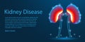 Human Kidney Disease. Medical organ. low poly wireframe theme concept on blue background. Illustration vector