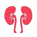 Human kidney flat style illustration