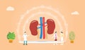 Human kidney health with doctor team discuss and healthy icon spread with modern flat style - vector