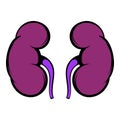 Human kidney icon, icon cartoon