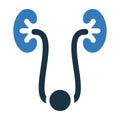 Human kidney icon, vector graphics Royalty Free Stock Photo