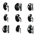 Human kidney icons set, simple style