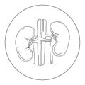 Human kidney internal organs line drawing, logo emblem icon design. Medical concept .Vector black and white illustration