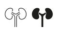 Human Kidney Line and Silhouette Icon Set. Kidneys Urology Disease, Dialysis Medical Treatment Symbol Collection