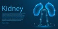 Human Kidney medical organ. low poly wire frame theme concept on blue background. Illustration 