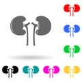 human kidney organ multi color style icon. Simple glyph, flat vector of human parts icons for ui and ux, website or mobile Royalty Free Stock Photo