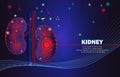 Human kidney ,Technology with flat style.EPS10 Royalty Free Stock Photo
