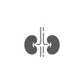 Human kidney vector icon symbol isolated on white background