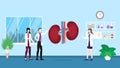 Human kidneys anatomy structure health care checkup analysis identifying by doctor people on the hospital - 